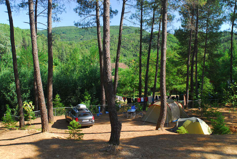 camping-la-foret
